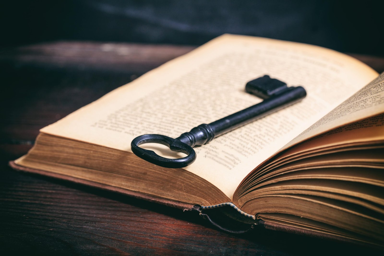 Unlock Prosperity: The Secret Book That Attracts Wealth & Abundance